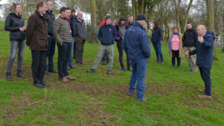 Grass breeding and short-rotation willow top the bill at AFBI forum