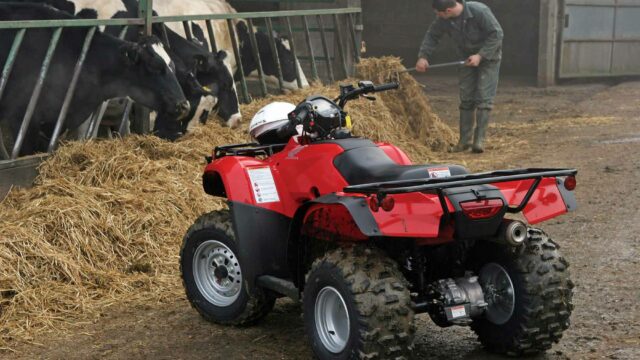 quads, farm, Gardai, public road thefts