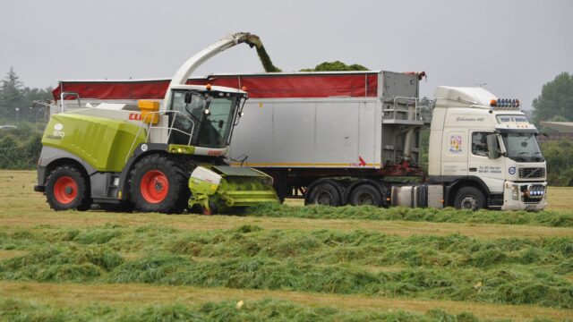 silage