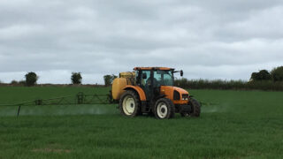 Best-practice cereal management tips – for the month of May