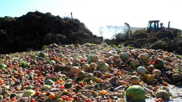 food waste