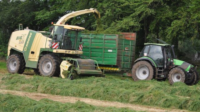 silage