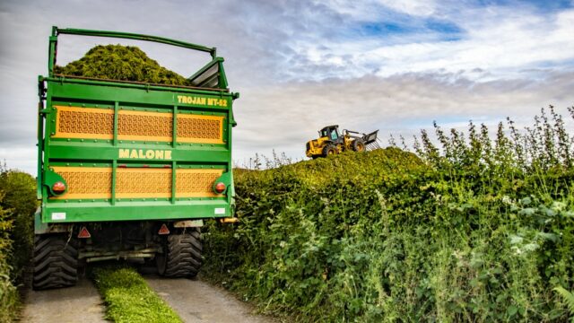 Neilan silage contractor