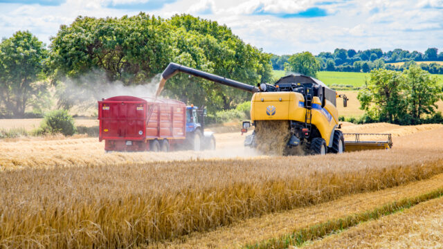 winter barley harvest keeling