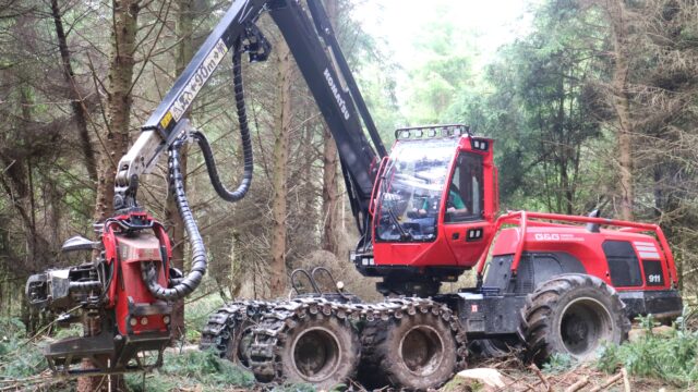 INHFA G&G timber harvesting forestry