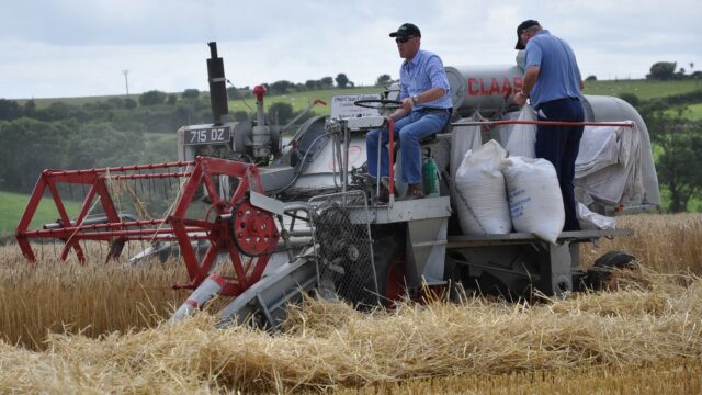 vintage harvest working day