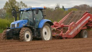 Used (imported) tractor registrations on the up as new tractor figures drop