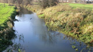 Construction company fined for waterway pollution