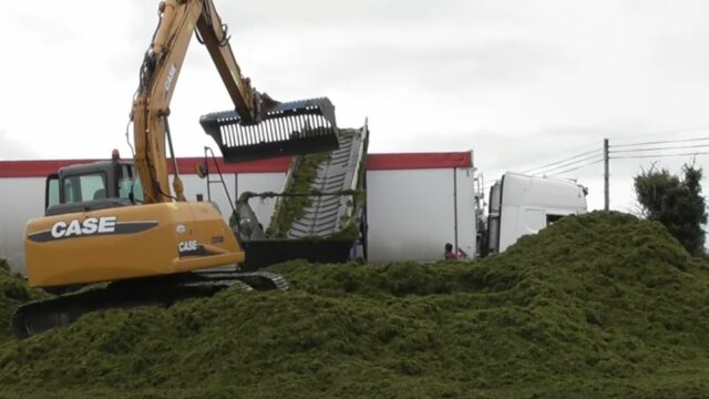 digger, silage, artic, grass