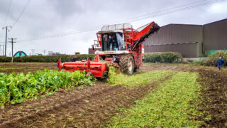 For sale: Ireland’s most famous self-propelled beet harvester