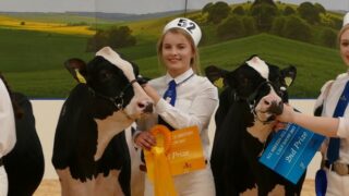 Northern Ireland Holstein breeders manage impressive All-Britain campaign