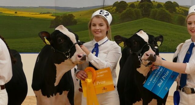 Northern Ireland Young Breeders judges at the All-Britain All-Breeds Calf Show