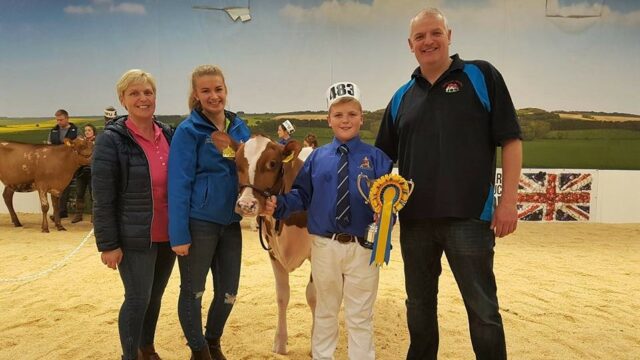 Ulster Ayrshire Cattle Club celebrates a Northern Ireland winner at the All-Britain All-Breeds Calf Show