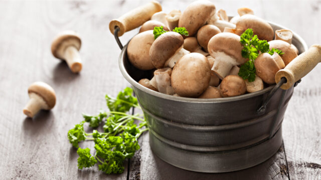 Administrators have been appointed to Co. Armagh business Button Farm Mushrooms