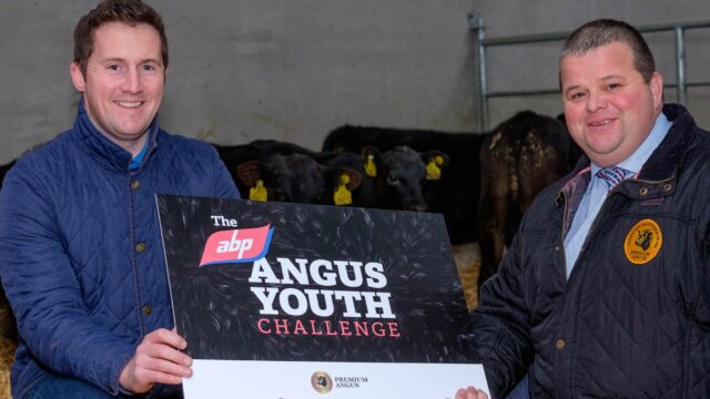 ABP Angus Youth Challenge