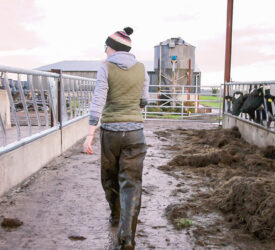 NFU Mutual advises farmers on succession ahead of tax reform