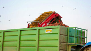 Potato harvest 2017: ‘One of the worst in living memory’