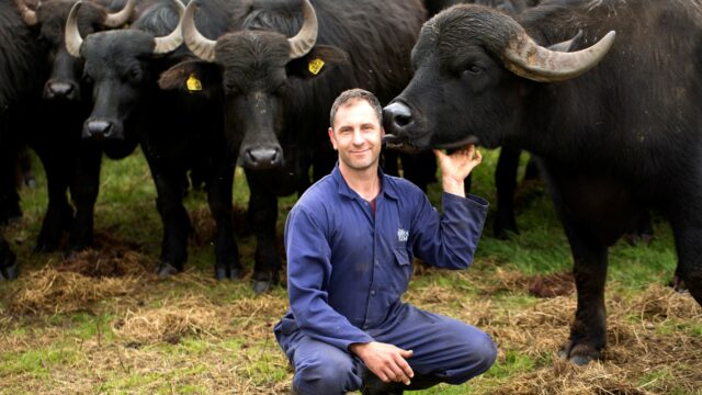 Producers of hit BBC show This Farming Life are on the lookout for Northern Ireland farmers