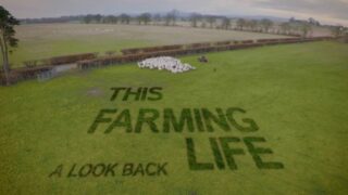 This Farming Life’s Bobby Lennox to lead bill at sheep producer event