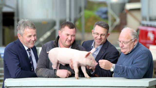 Cranswick has given its backing to the Bank of Ireland Open Farm Weekend