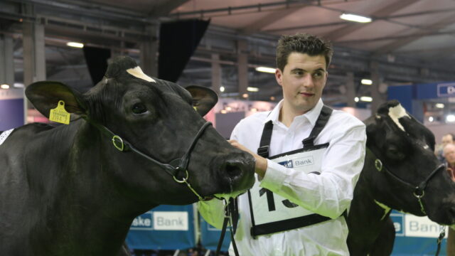 Winter Fair Champion Hiltara Lauthority Echo