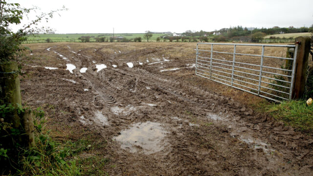 wet soil, pressure, wettest weather