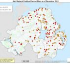 Department consults on Ash Dieback measures as spread continues