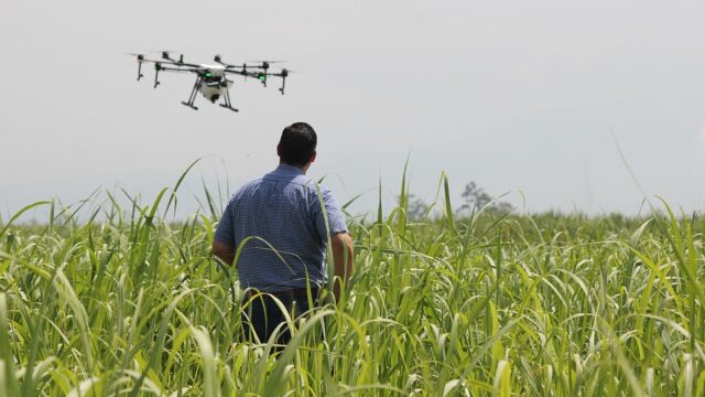 precision farming, farming future, drones, real-time data