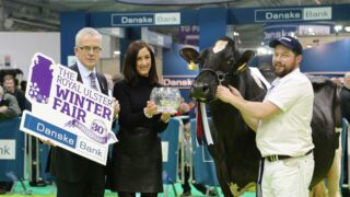 Winter Fair: Crowds flock to Ireland’s largest dairy show – follow the action as it happens