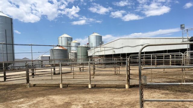 Mega farming in southern Australia