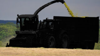 Major contracting machinery auction looms large