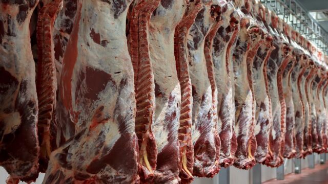 welsh Mercosur, beef Australia, exports