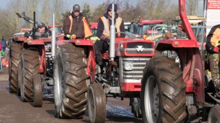 Auction report: Classic ‘Masseys’ go under the hammer