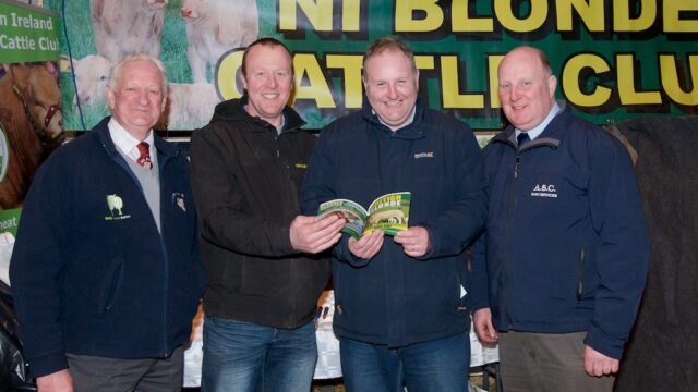 Beef societies, Blonde, Lexi Johnston; Brian McGartland; Stephen Redmond, DFM; and Alan Carson, ASC Farm services