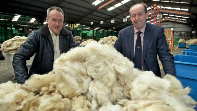 British Wool, Ulster Wool