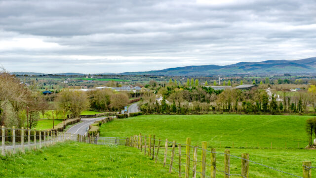 tree planting proposals