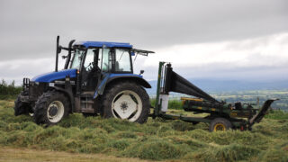 Department urged to help farmers build fodder resilience