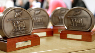 School finalists announced for first Northern Angus Challenge