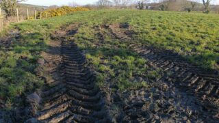 GrassCheck: Growth set to exceed 10-year average