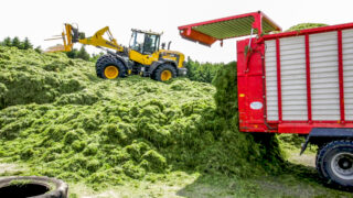 Trade focus: How a Westmeath man can get an ‘edge’ on your machinery
