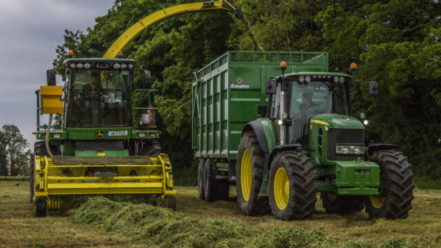 silage women