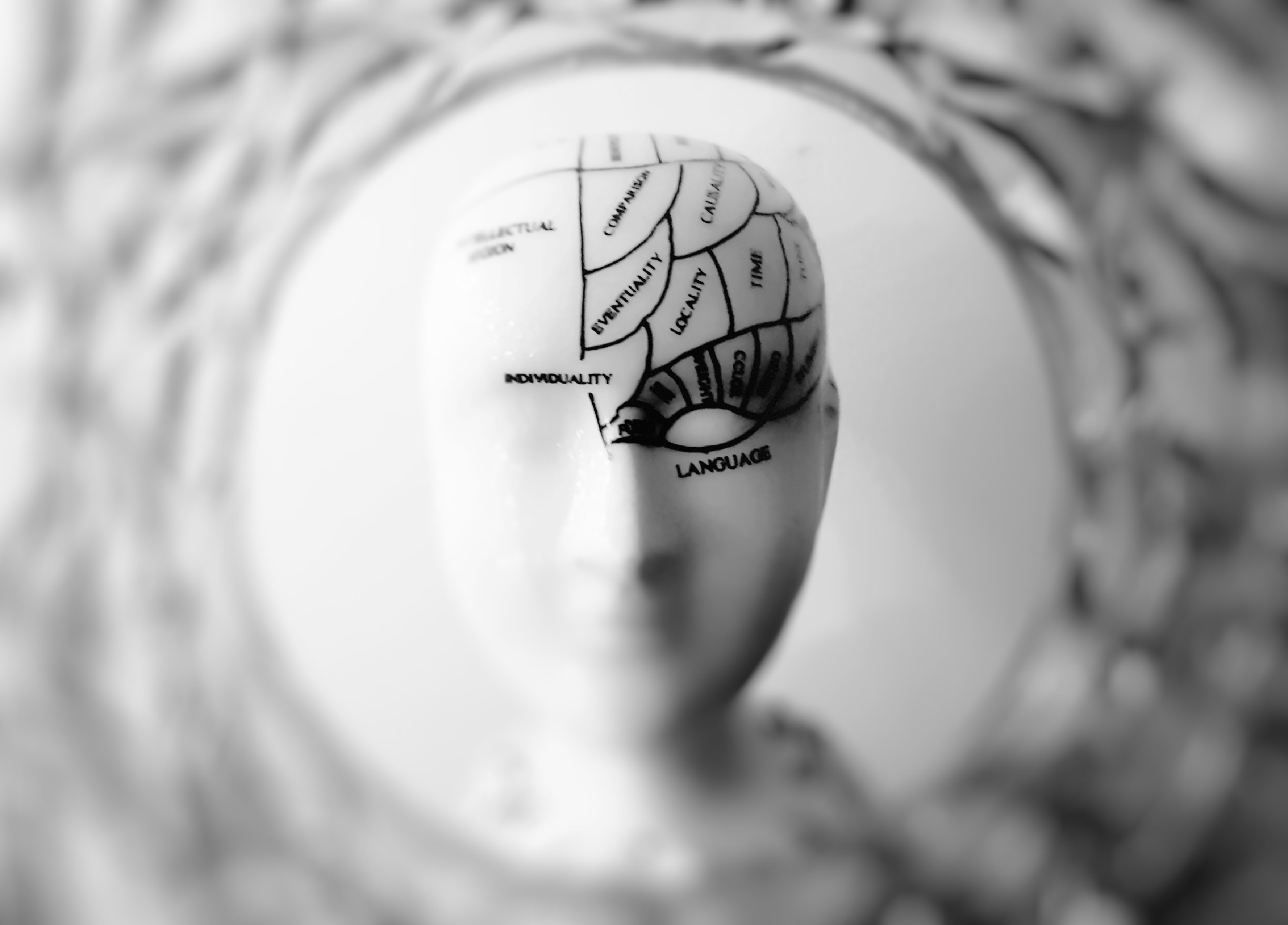 Brain Implant