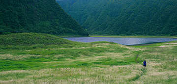 Field With Lake