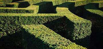 Hedge Maze