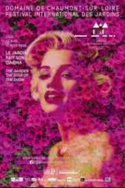 Articles - Vignette