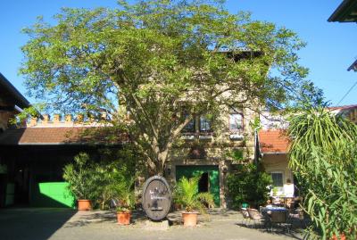 Weingut Burghof Oswald