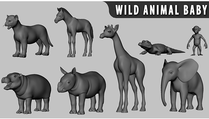 Asset image