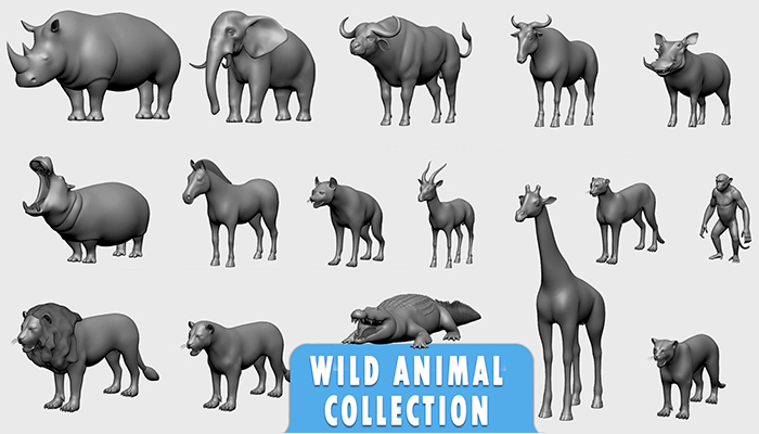 Asset image