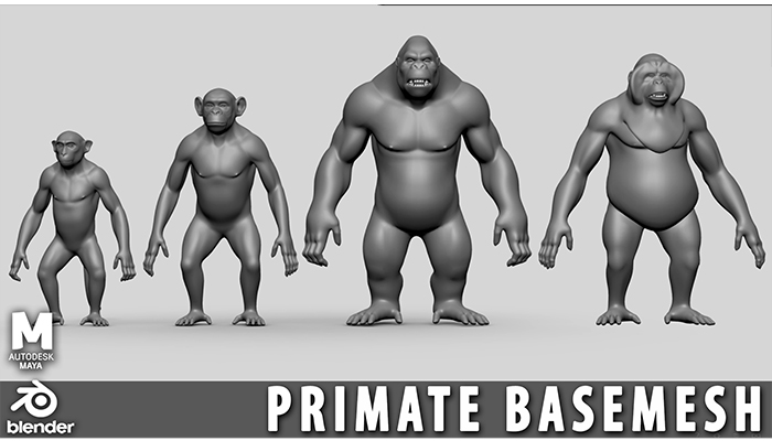 Asset image