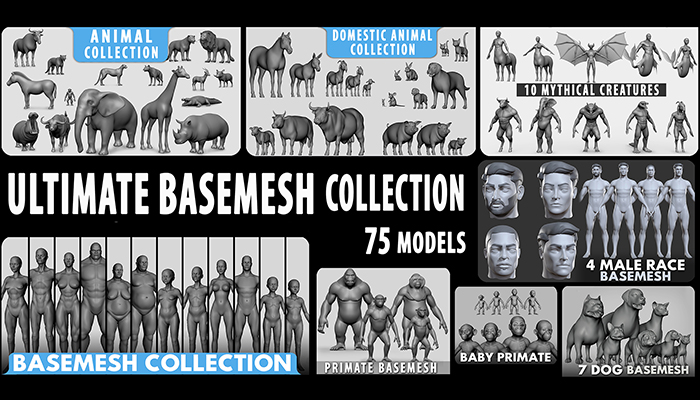 Asset image